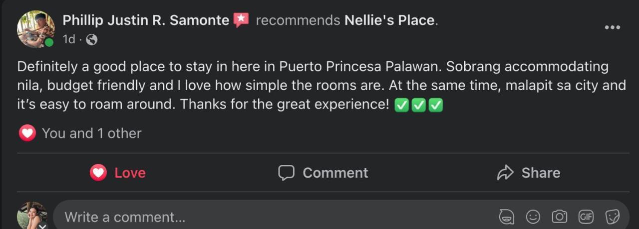 Nellie'S Place Puerto Princesa Zewnętrze zdjęcie